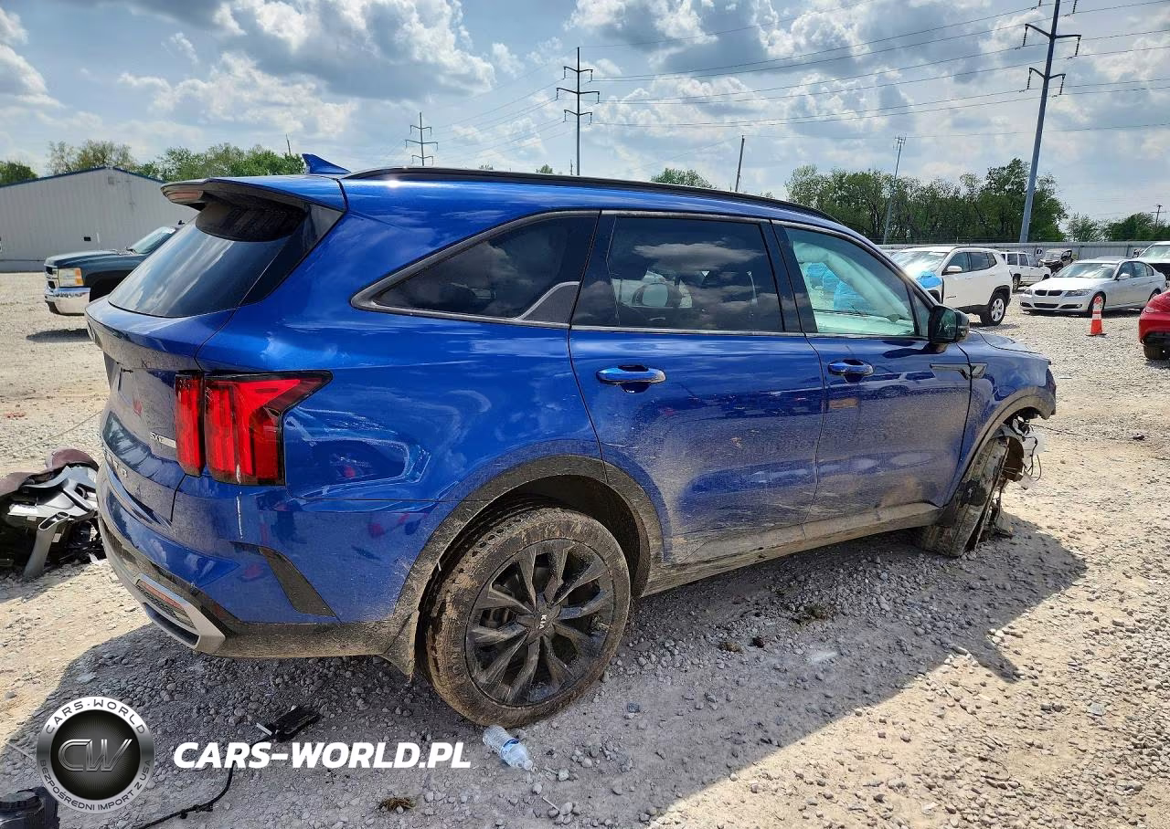 2021 Kia Sorento Sx VIN:5XYRKDLFXMG059095 - 3