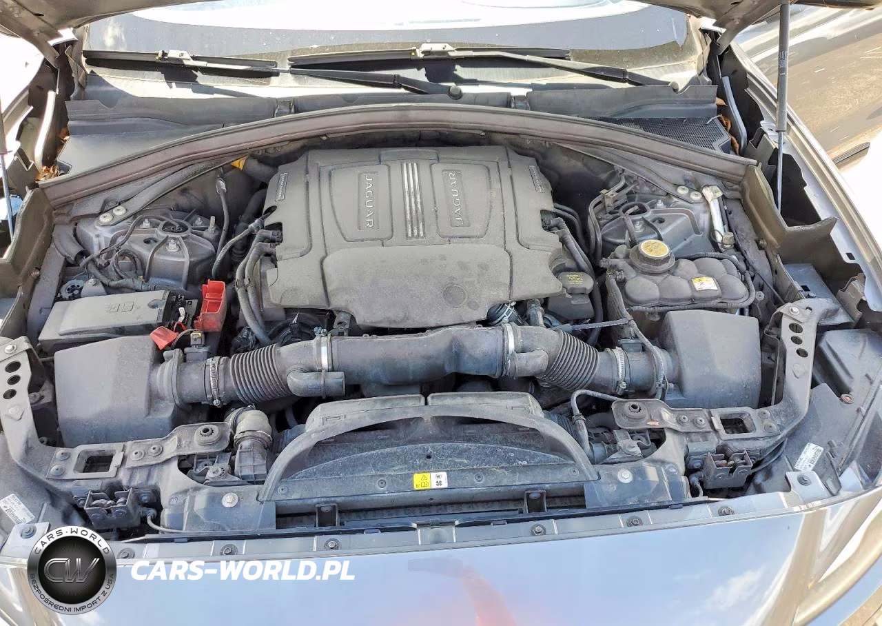 2019 Jaguar F-Pace S VIN:SADCM2FV8KA357623 - 12