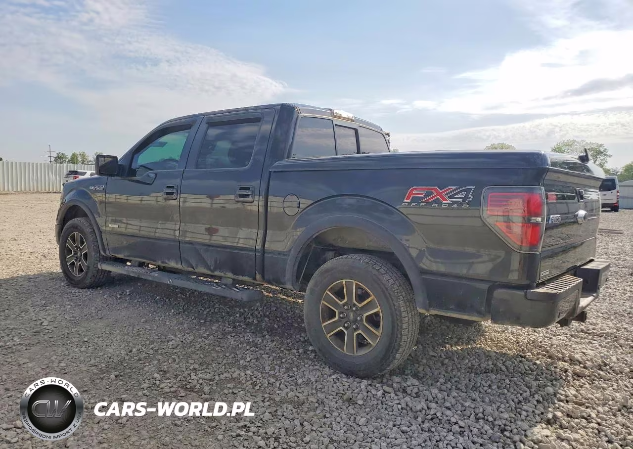 2013 Ford F150 Supercrew VIN:1FTFW1ET2DFA36499 - 2