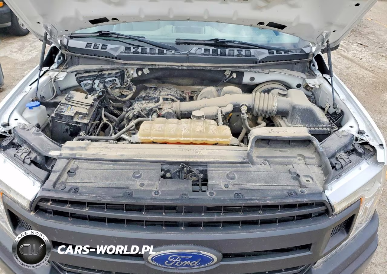 2019 Ford F150 VIN:1FTMF1CB7KKD30003 - 11