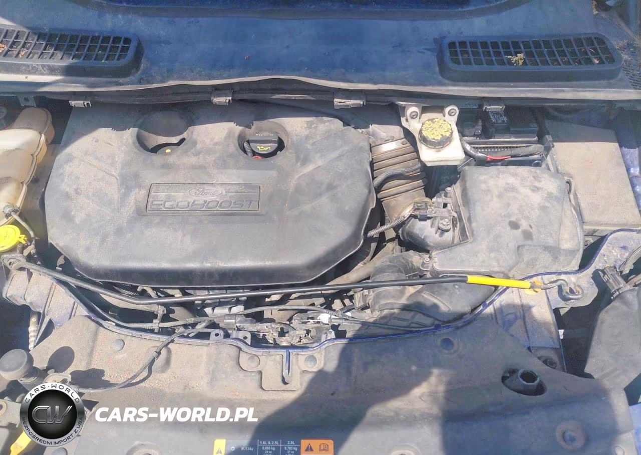 2013 Ford Escape Se VIN:1FMCU9G95DUC42383 - 7