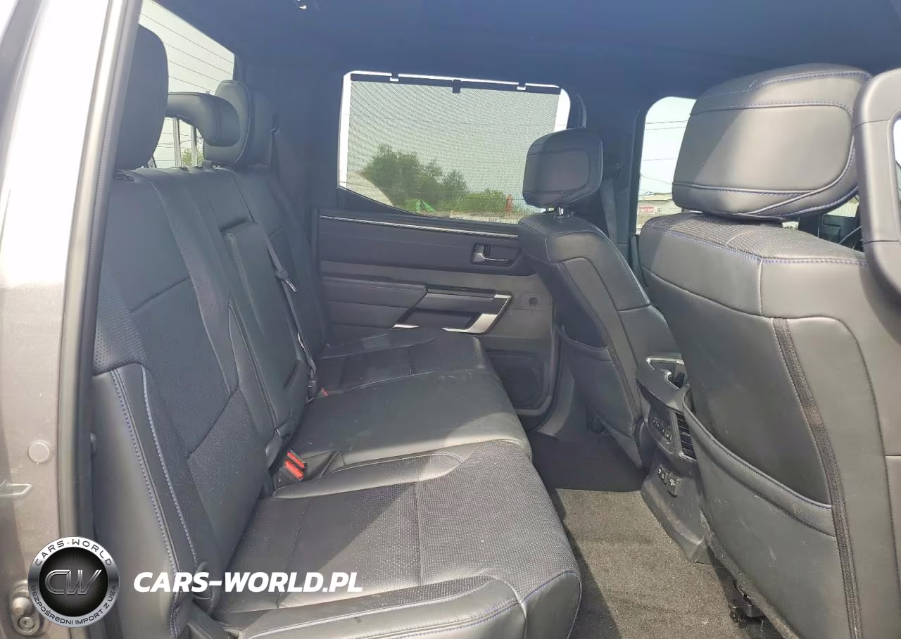 2022 Toyota Tundra Platinum Hv VIN:5TFNC5EC5NX002001 - 10