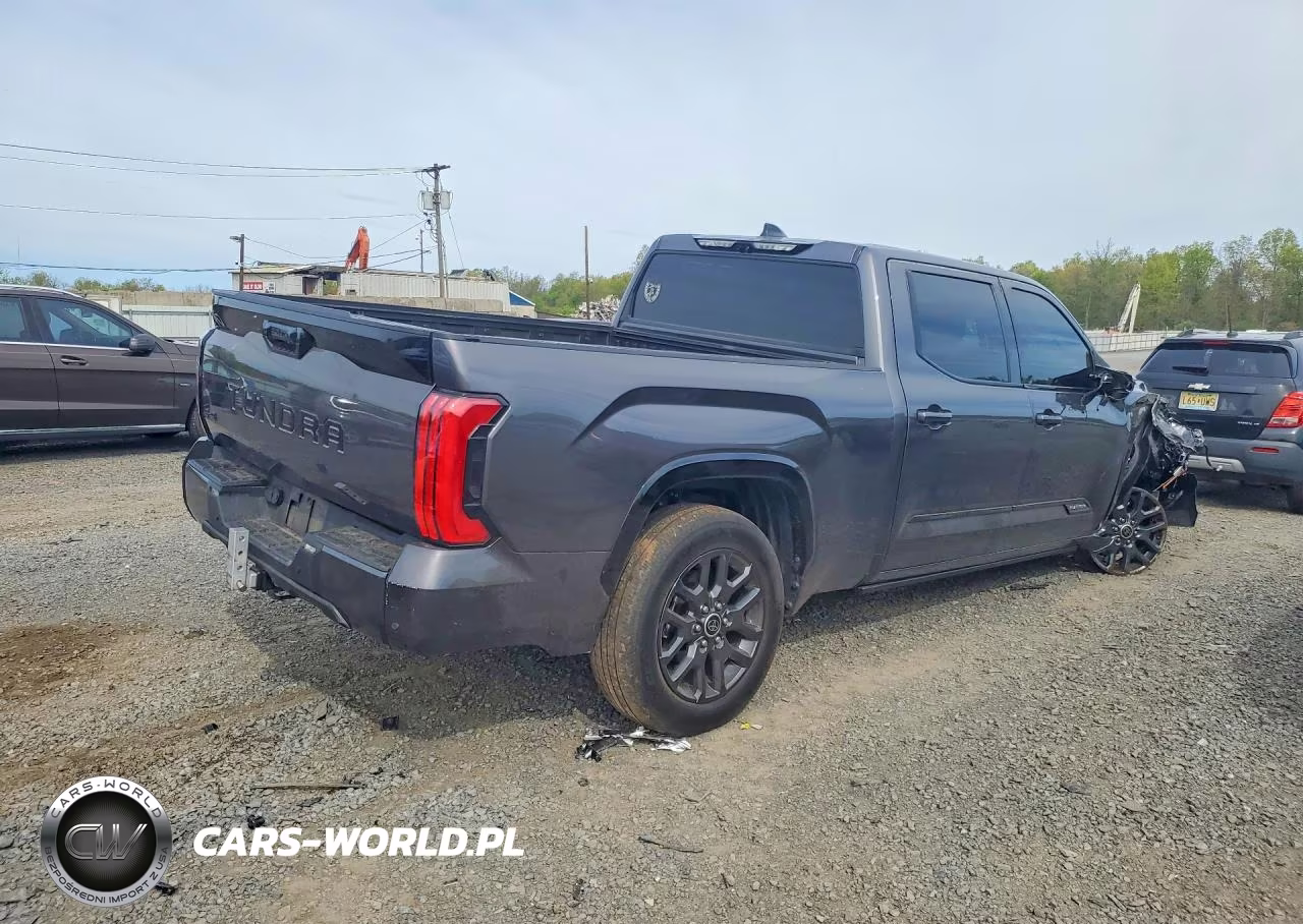 2022 Toyota Tundra Platinum Hv VIN:5TFNC5EC5NX002001 - 3