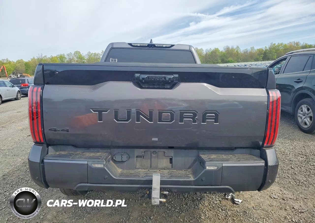 2022 Toyota Tundra Platinum Hv VIN:5TFNC5EC5NX002001 - 6