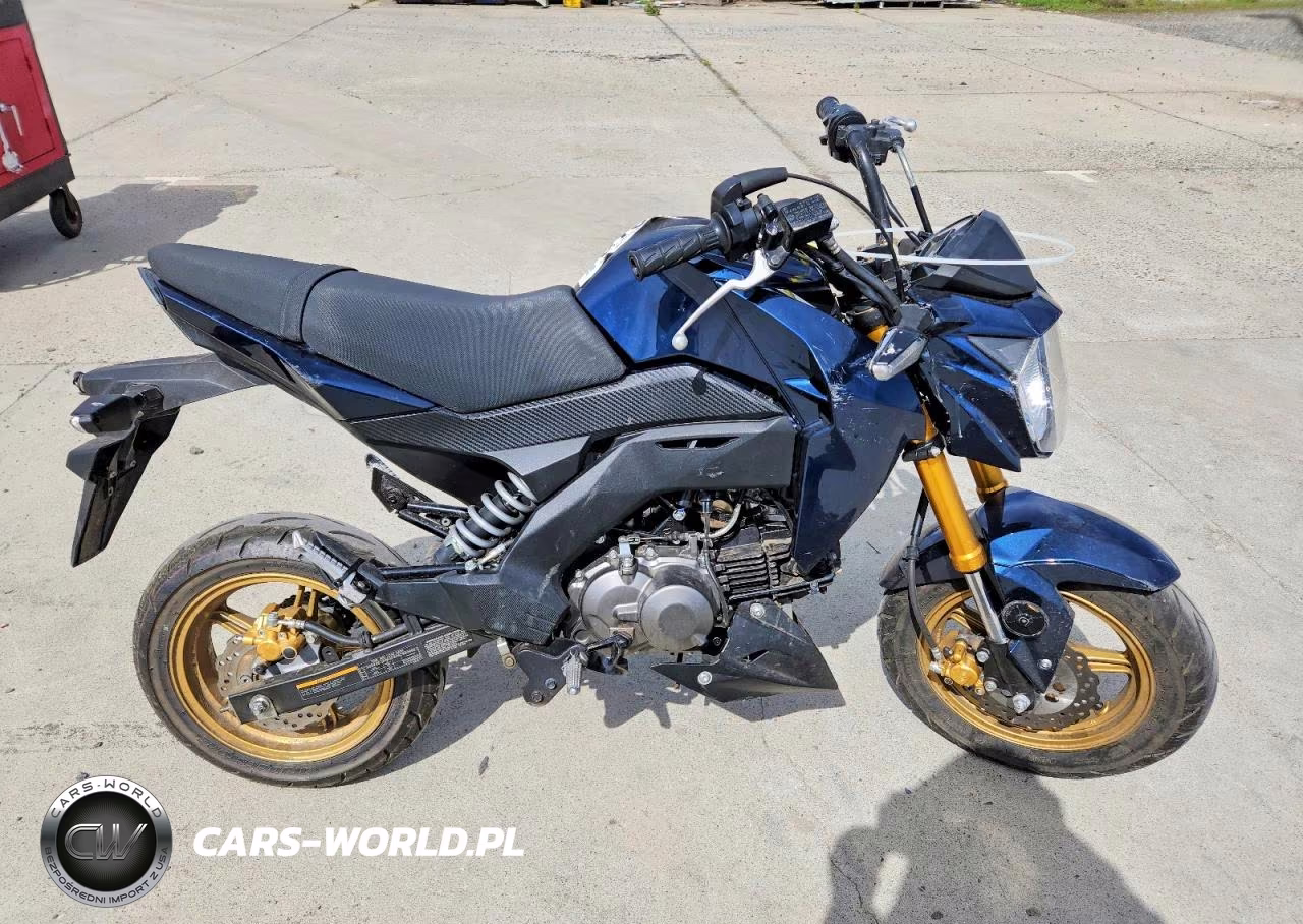 2023 Kawasaki Br125