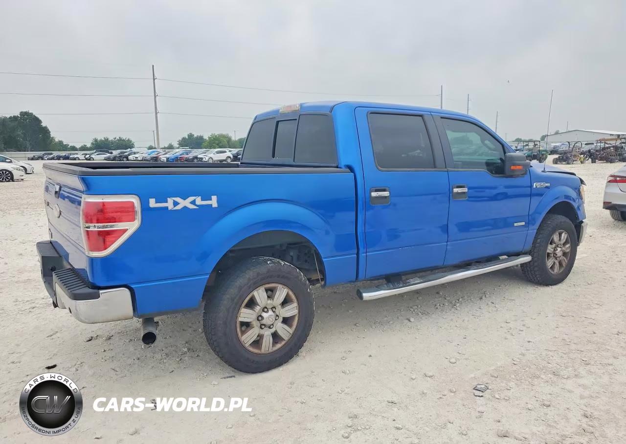 2011 Ford F150 Supercrew VIN:1FTFW1ET5BFB23391 - 3