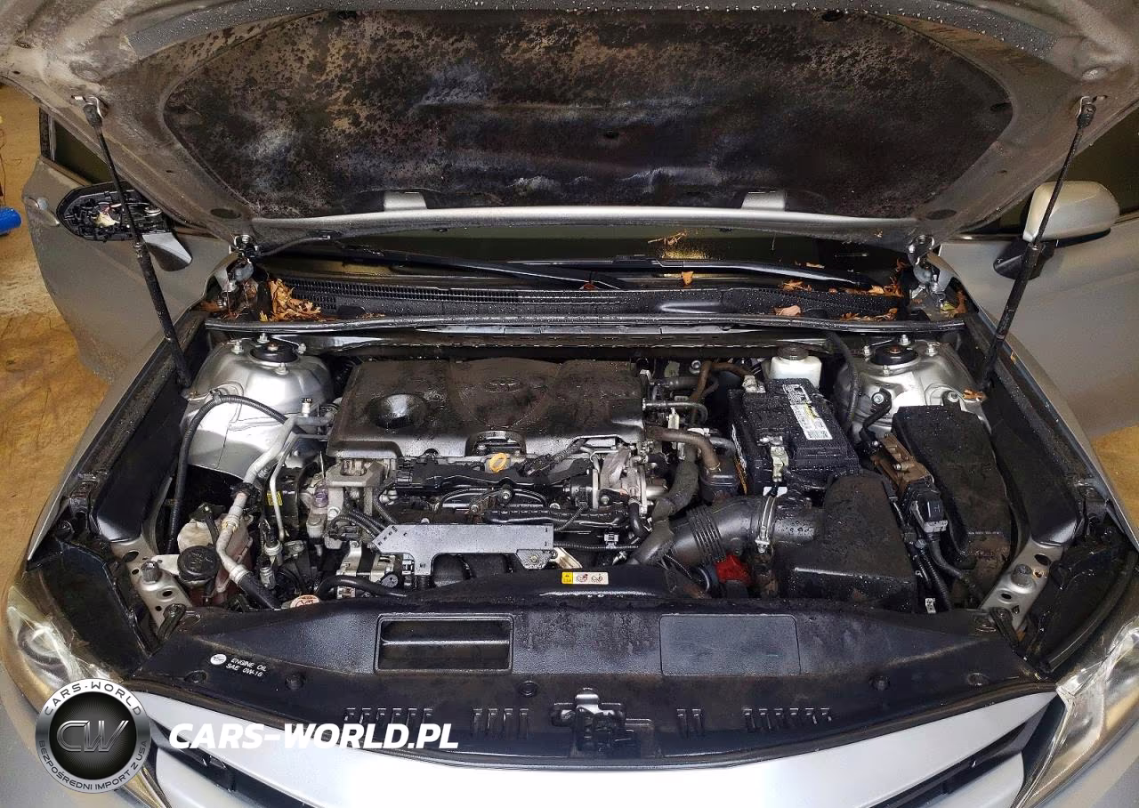 2019 Toyota Camry Le VIN:4T1B11HK0KU770594 - 11
