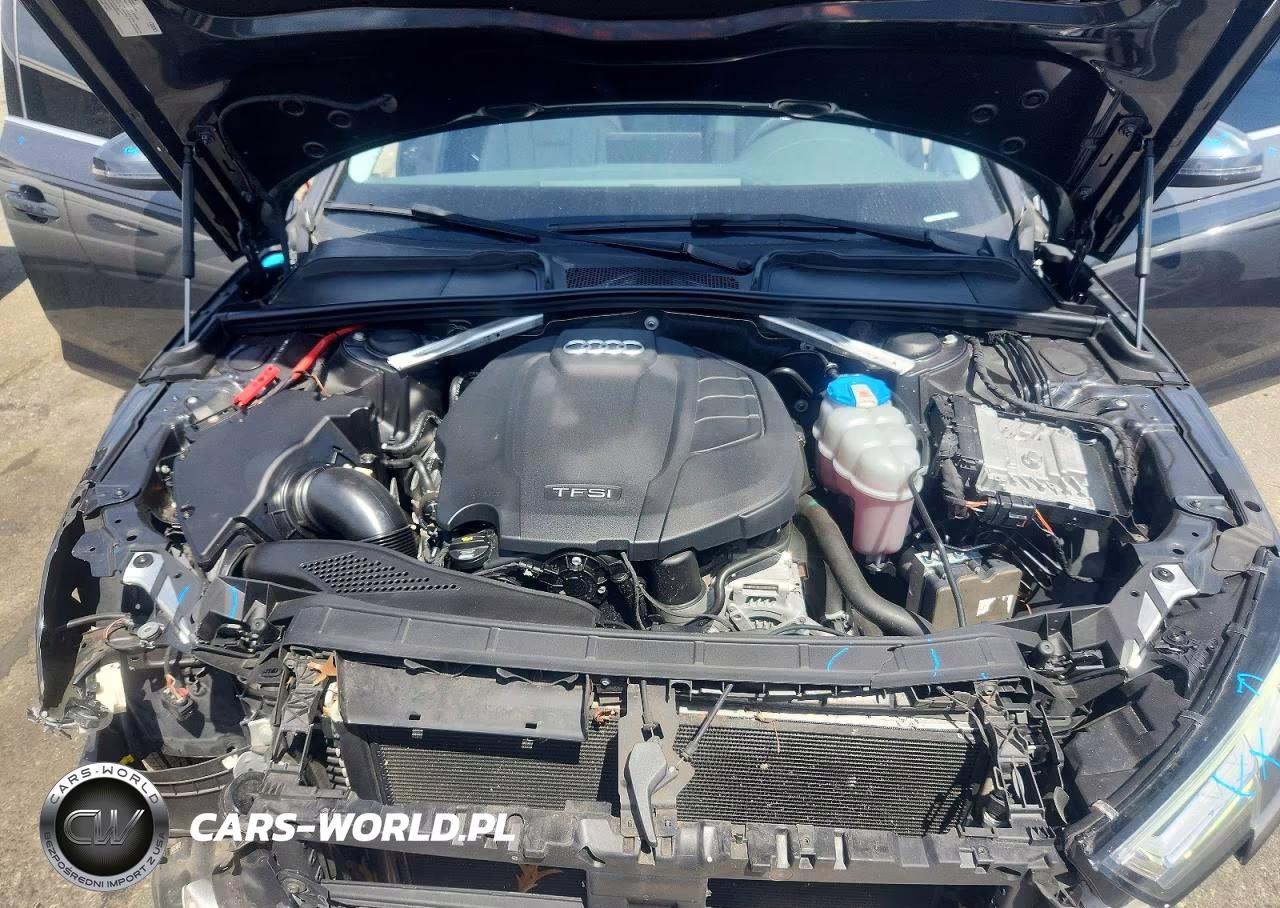 2019 Audi A4 Premium Plus VIN:WAUENAF40KN006827 - 11