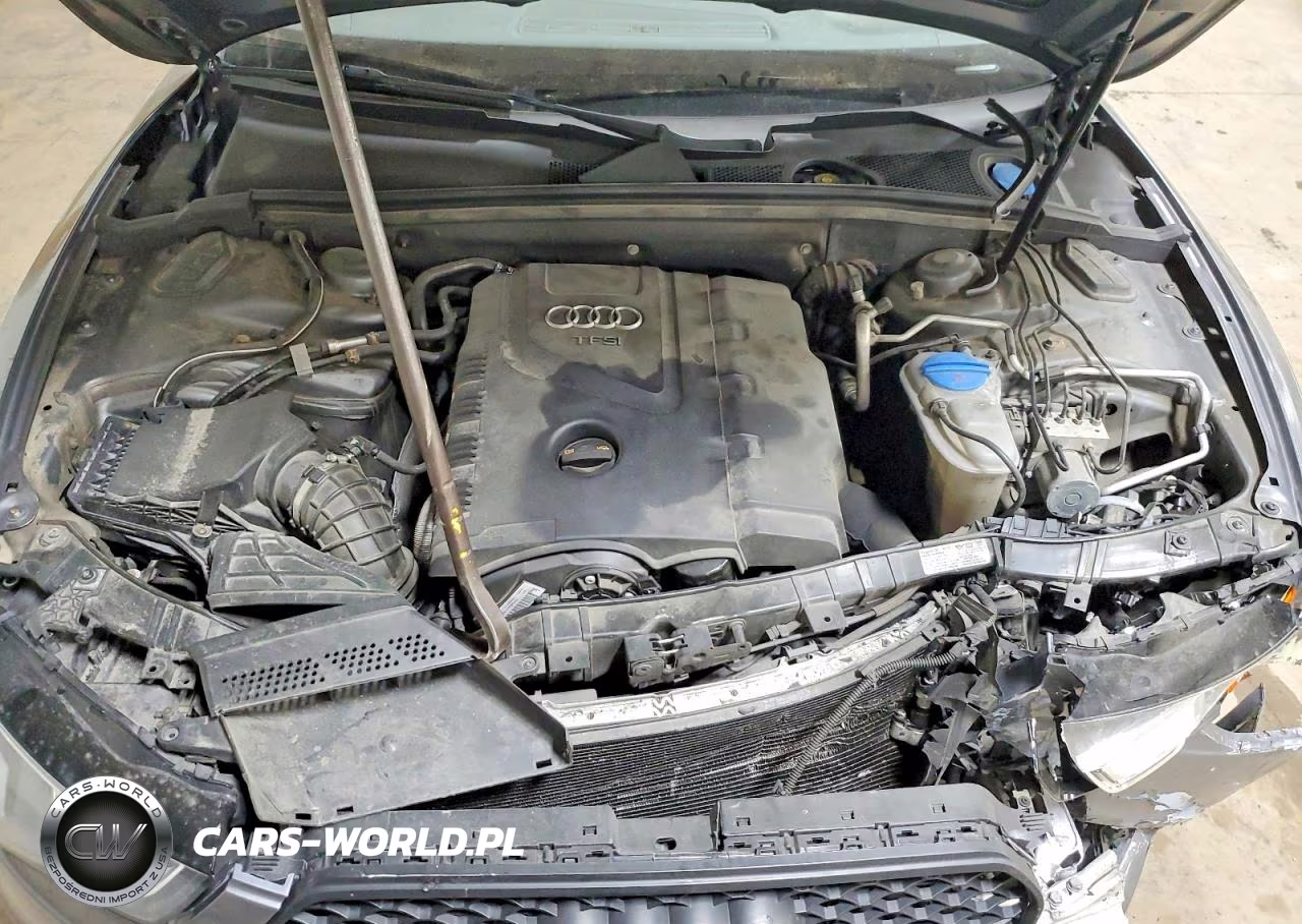2013 Audi A5 Premium Plus VIN:WAULFAFR9DA013236 - 11