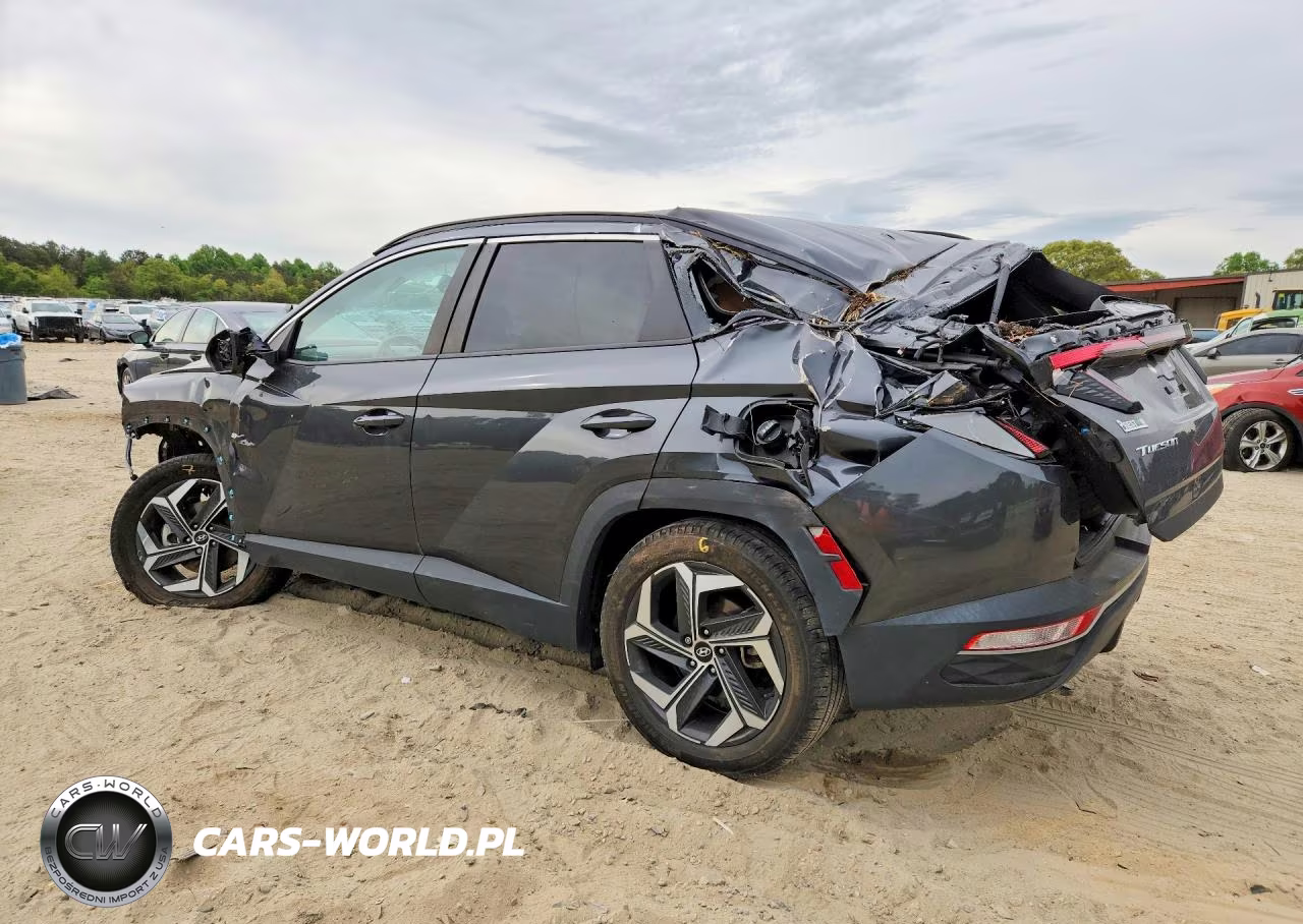 2023 Hyundai Tucson Sel VIN:5NMJFCAE4PH230343 - 2