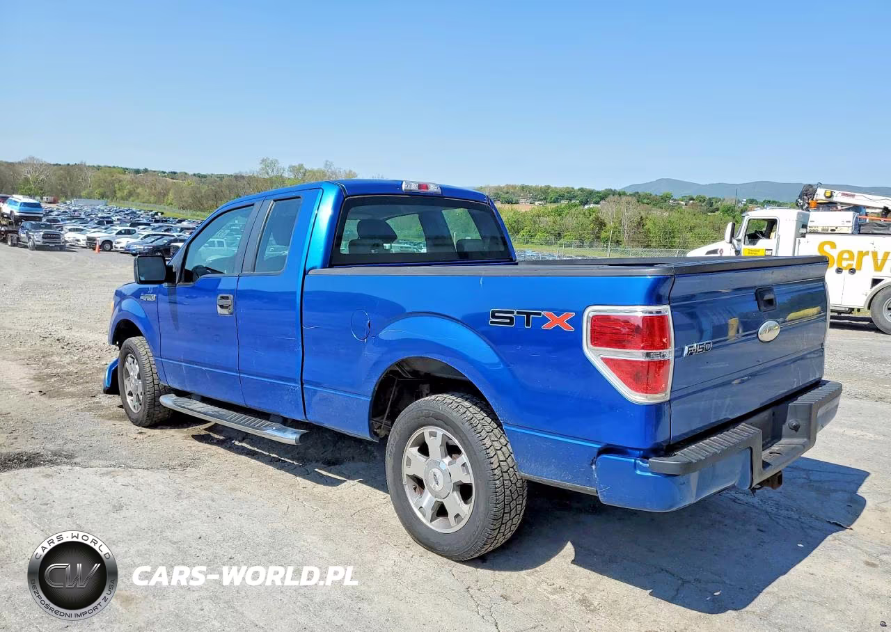 2009 Ford F150 VIN:1FTRX12W49KC28269 - 2