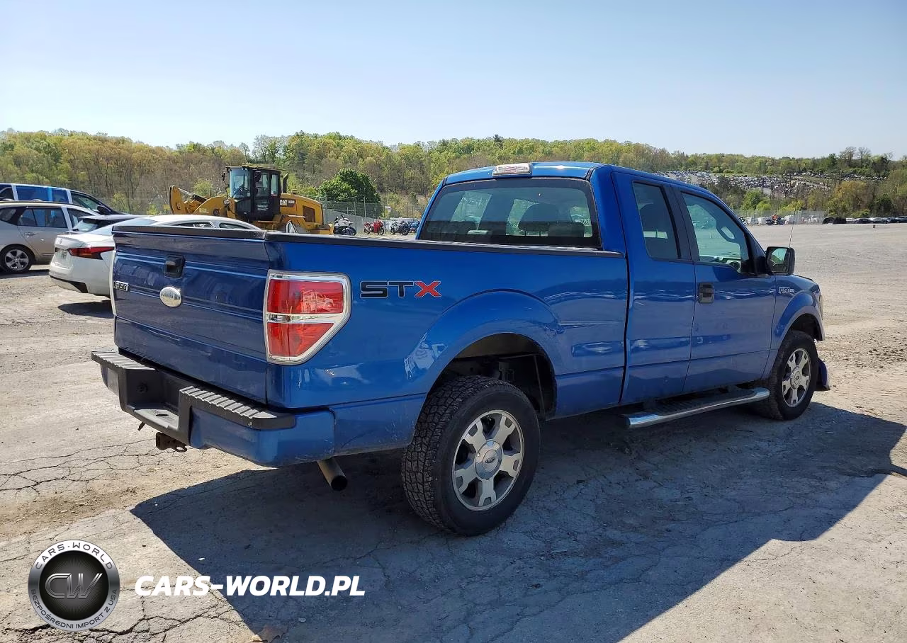 2009 Ford F150 VIN:1FTRX12W49KC28269 - 3