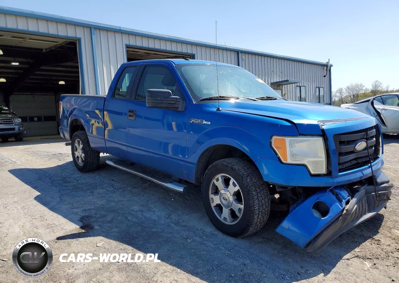 2009 Ford F150 VIN:1FTRX12W49KC28269 - 4