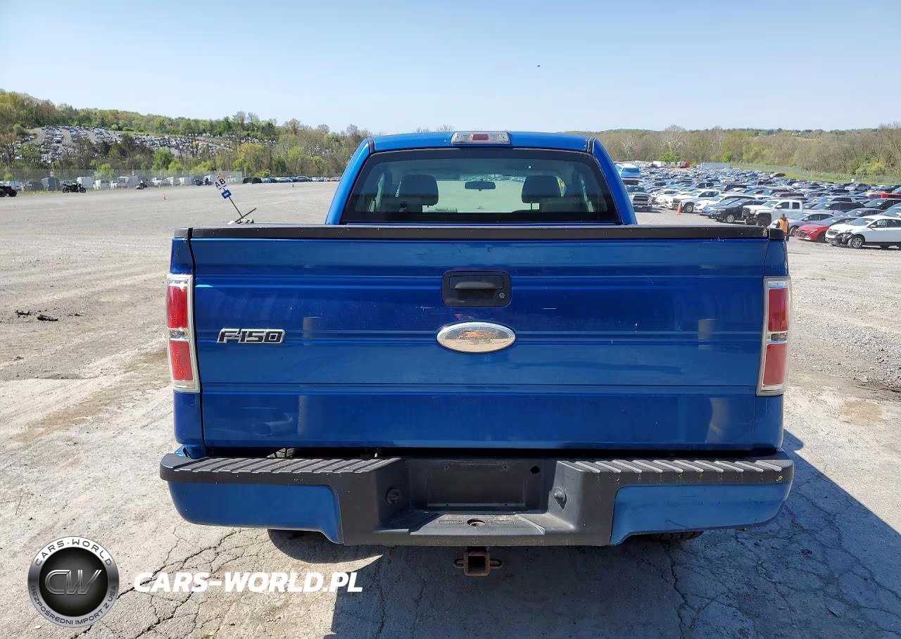 2009 Ford F150 VIN:1FTRX12W49KC28269 - 6