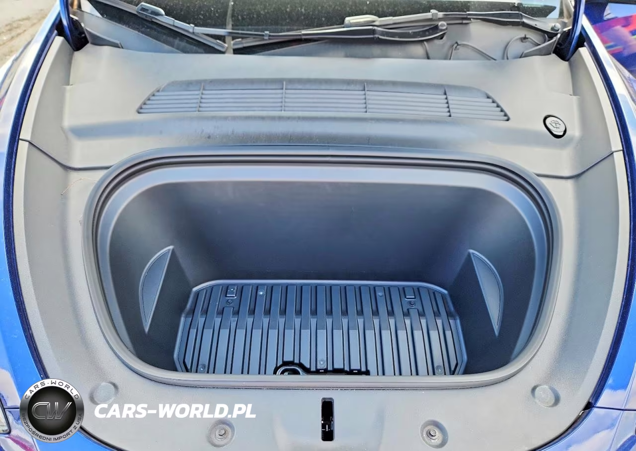 2024 Tesla Model Y VIN:7SAYGDED2RF155667 - 11