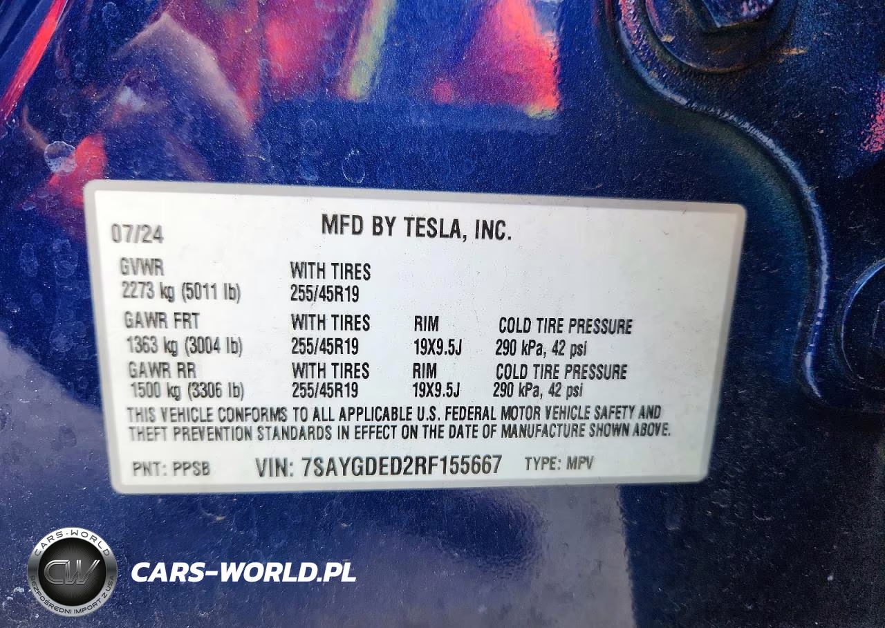2024 Tesla Model Y VIN:7SAYGDED2RF155667 - 13