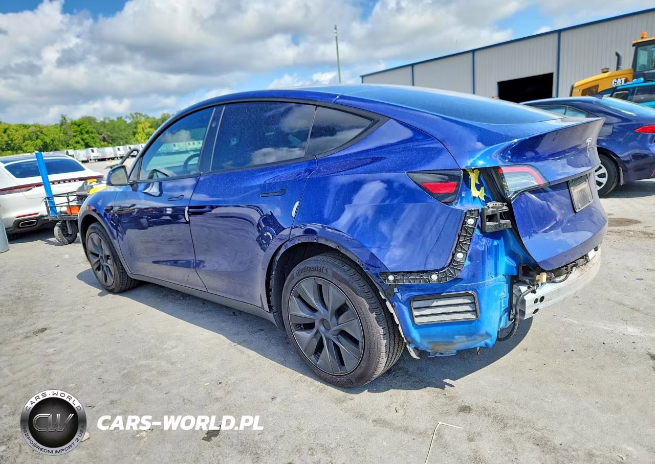 2024 Tesla Model Y VIN:7SAYGDED2RF155667 - 2
