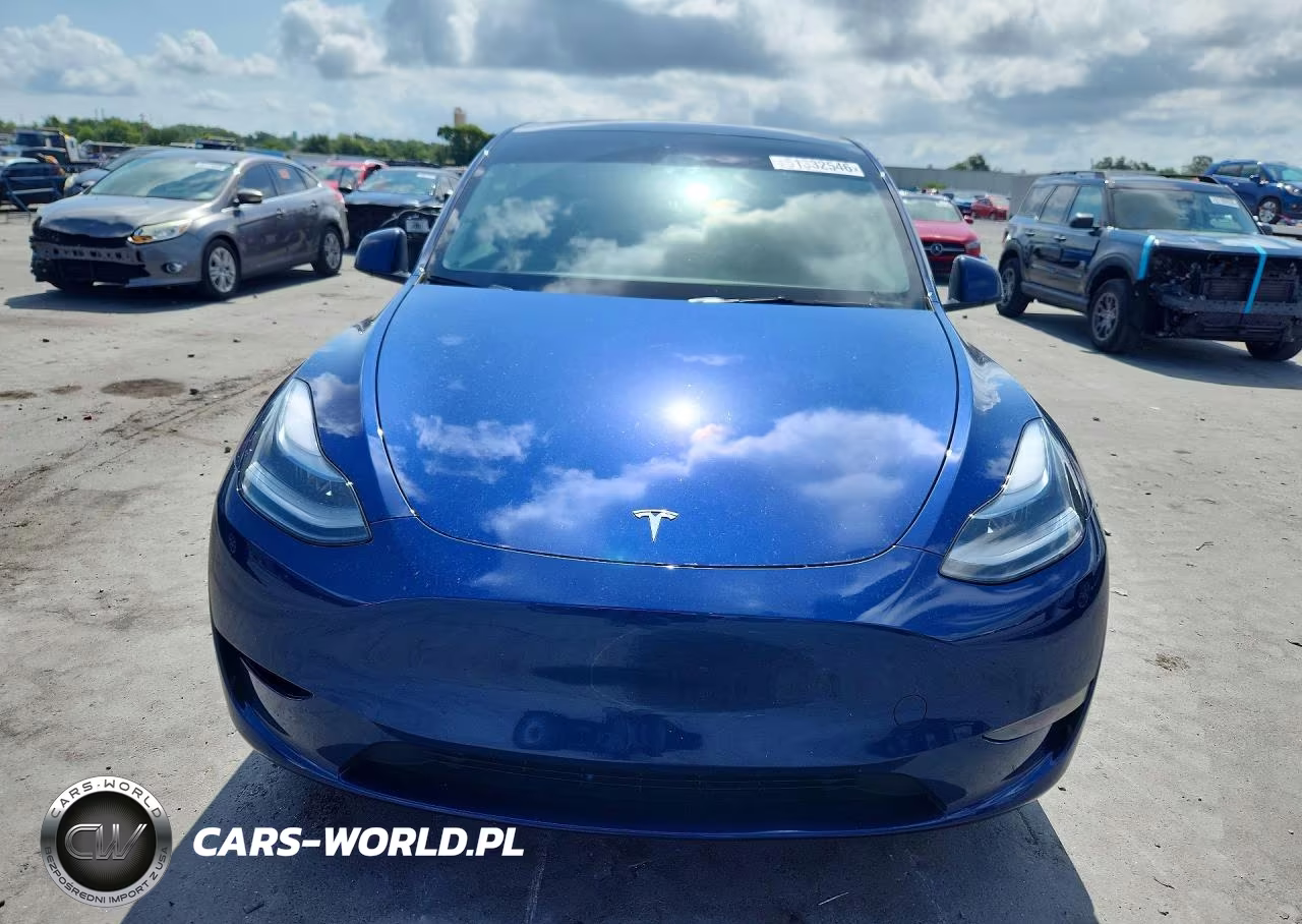 2024 Tesla Model Y VIN:7SAYGDED2RF155667 - 5
