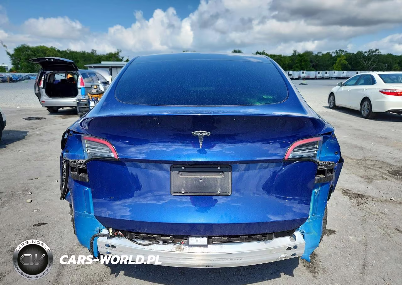 2024 Tesla Model Y VIN:7SAYGDED2RF155667 - 6