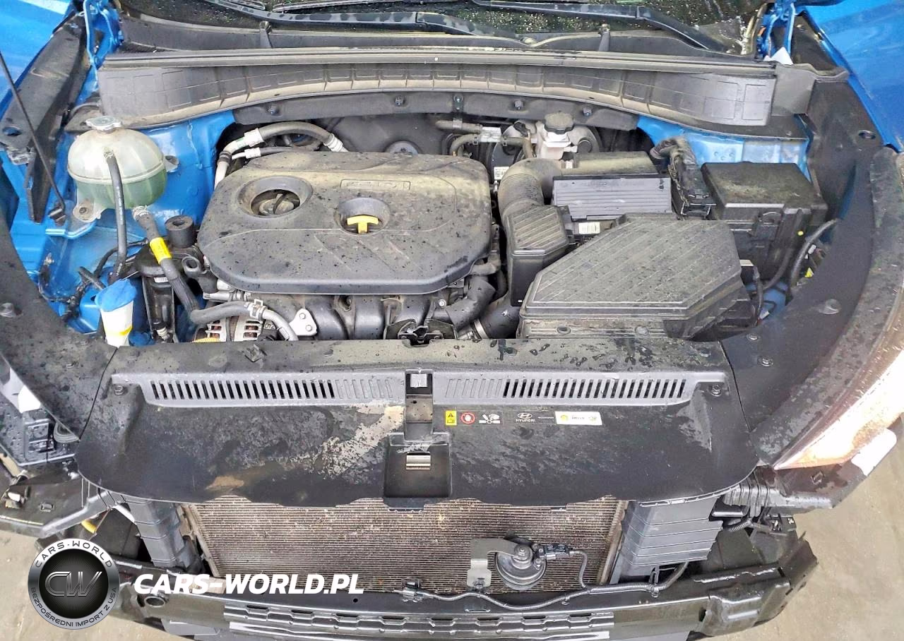 2020 Hyundai Tucson Value VIN:KM8J33A42LU252016 - 12