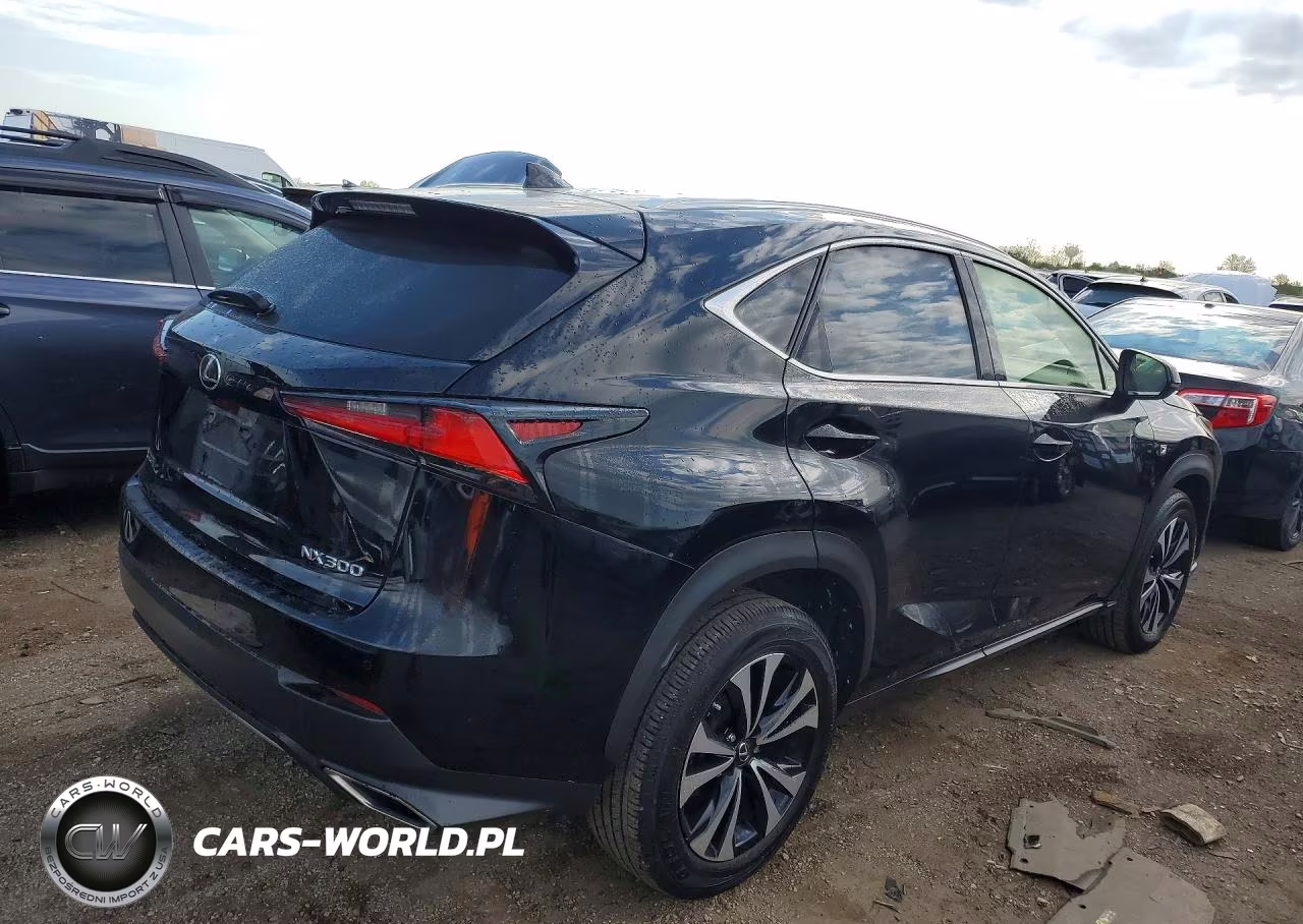 2020 Lexus Nx 300 F Sport VIN:JTJSARDZ9L5017645 - 3