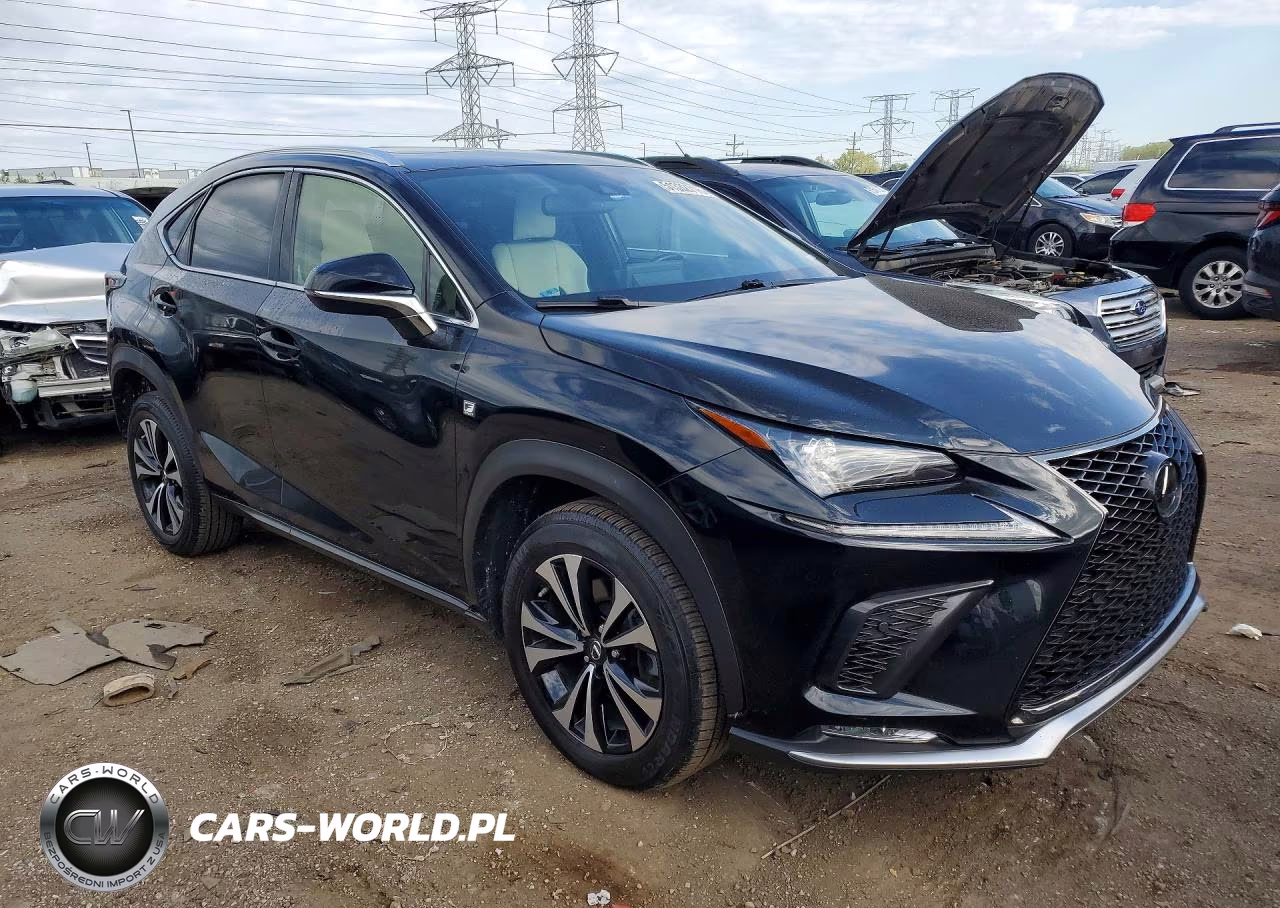 2020 Lexus Nx 300 F Sport VIN:JTJSARDZ9L5017645 - 4