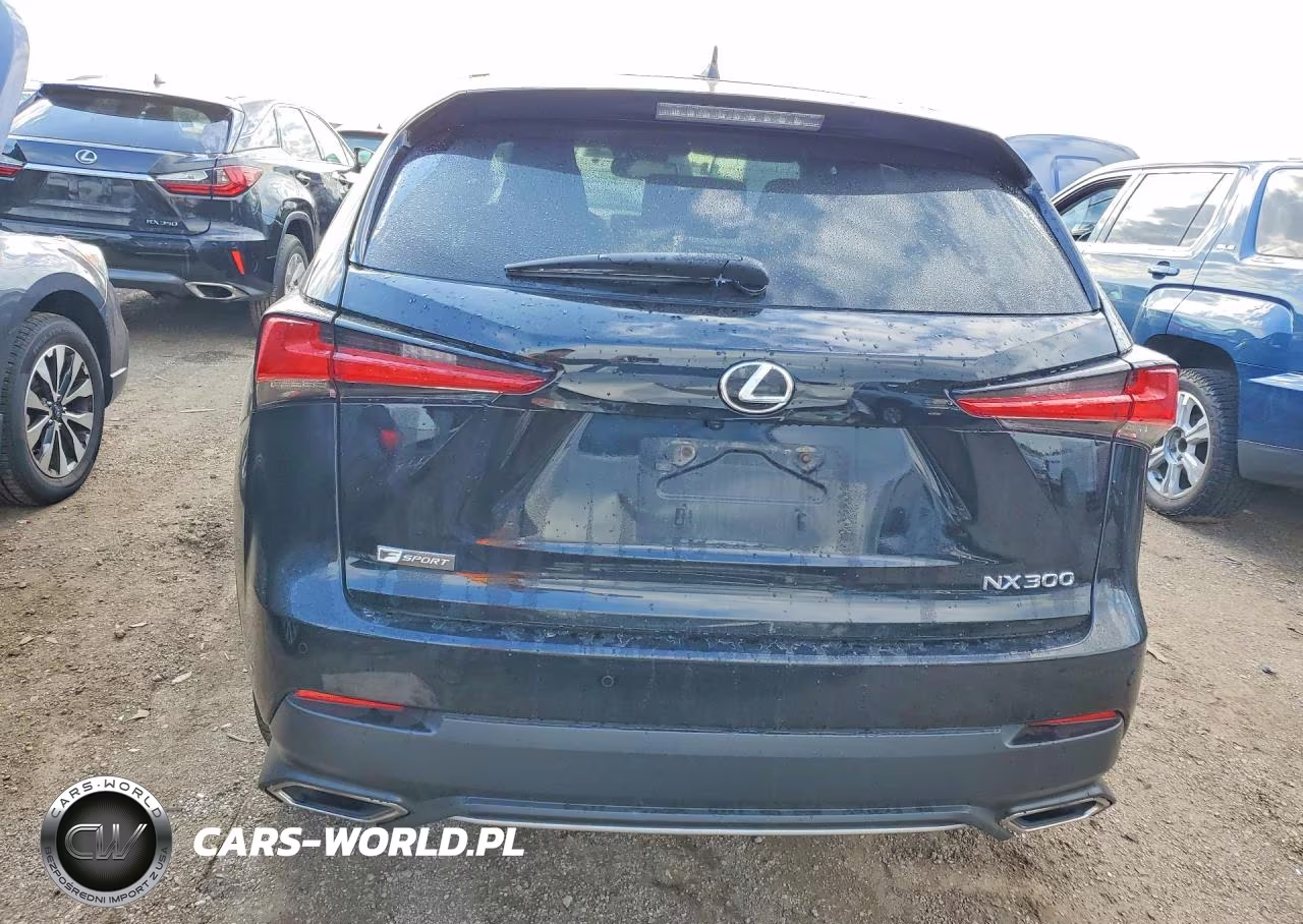 2020 Lexus Nx 300 F Sport VIN:JTJSARDZ9L5017645 - 6