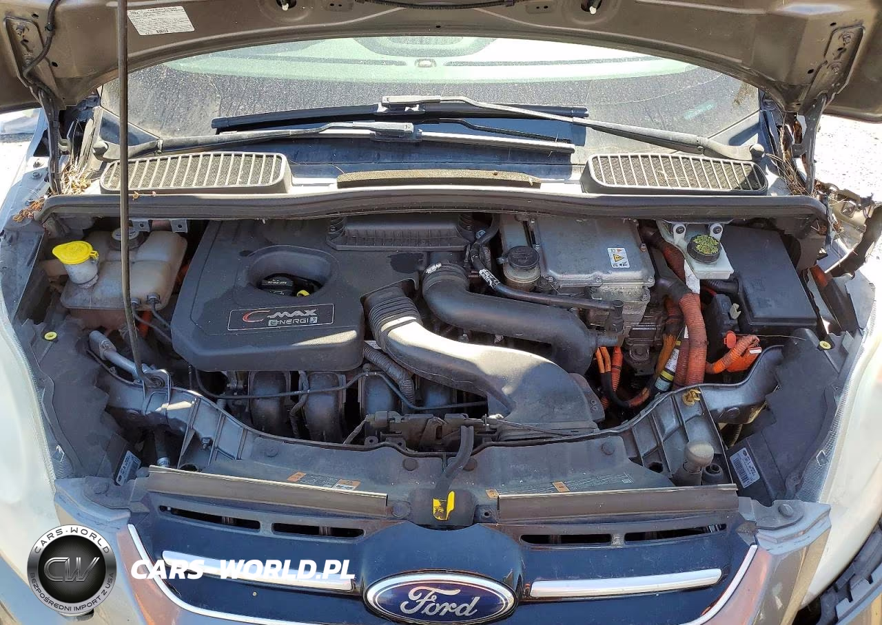 2013 Ford C-Max Premium VIN:1FADP5CU8DL529912 - 11