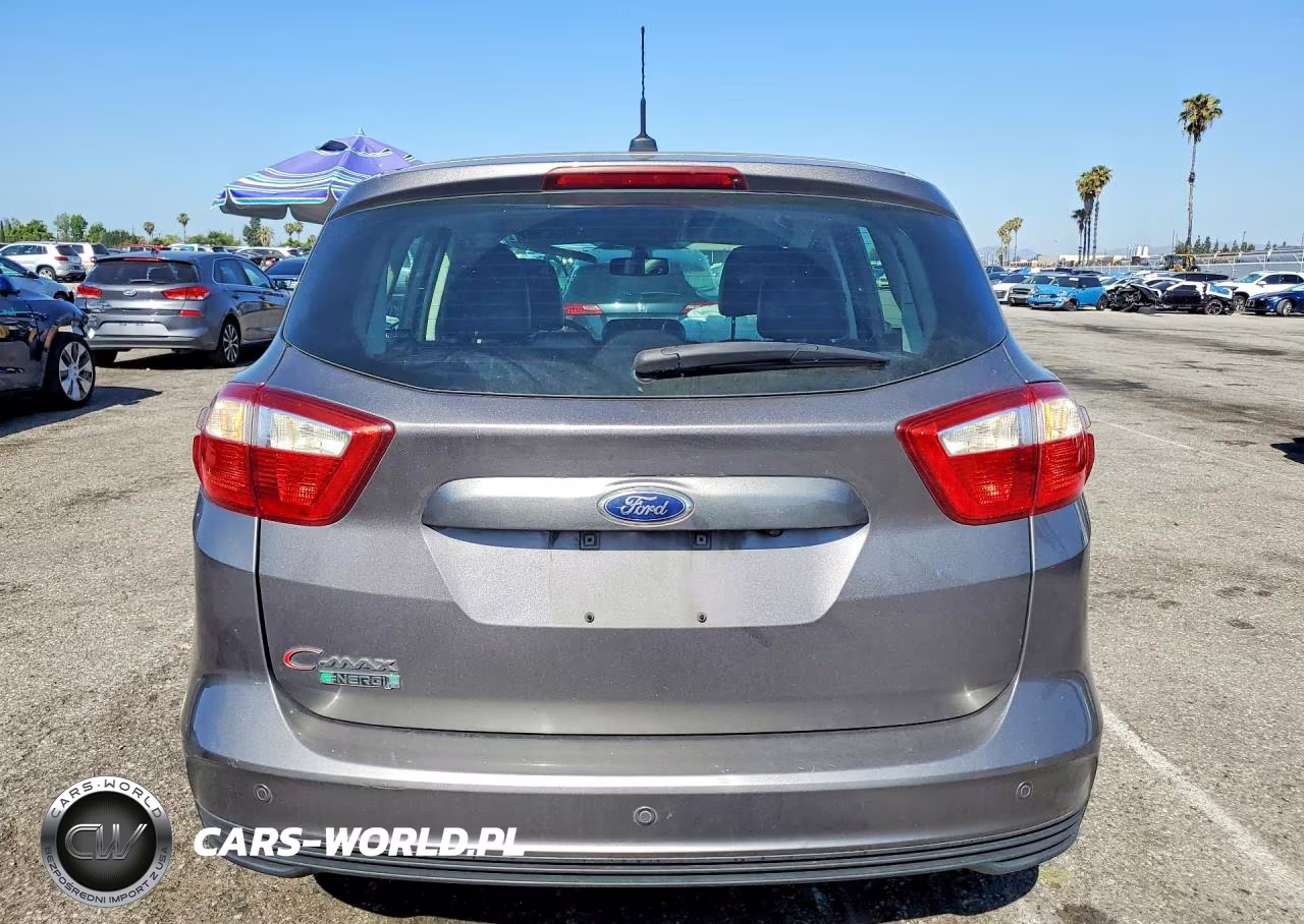 2013 Ford C-Max Premium VIN:1FADP5CU8DL529912 - 6