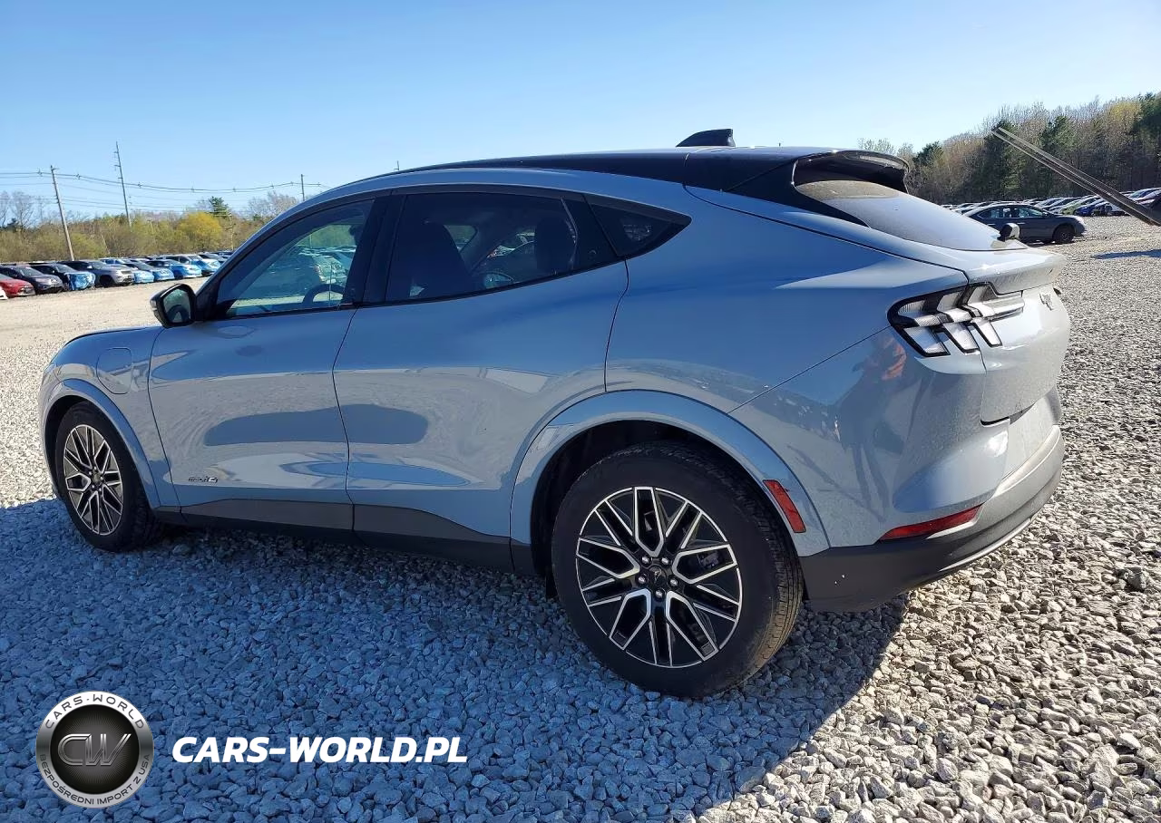 2025 Ford Mustang Mach-E Premium VIN:3FMTK3SU4SMA16691 - 2