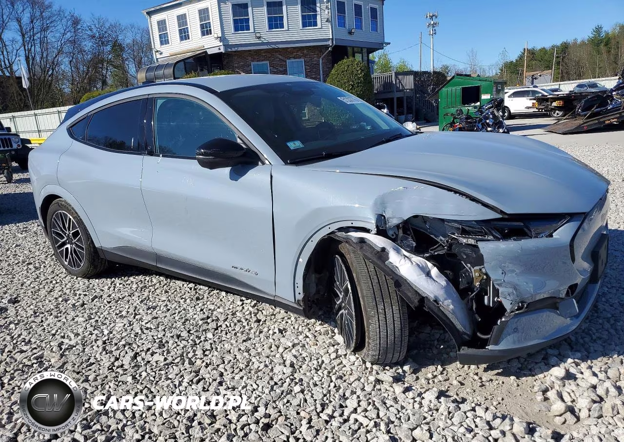 2025 Ford Mustang Mach-E Premium VIN:3FMTK3SU4SMA16691 - 4