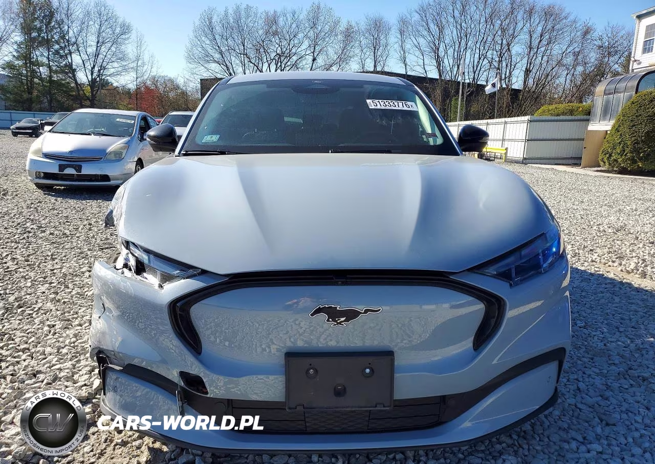 2025 Ford Mustang Mach-E Premium VIN:3FMTK3SU4SMA16691 - 5