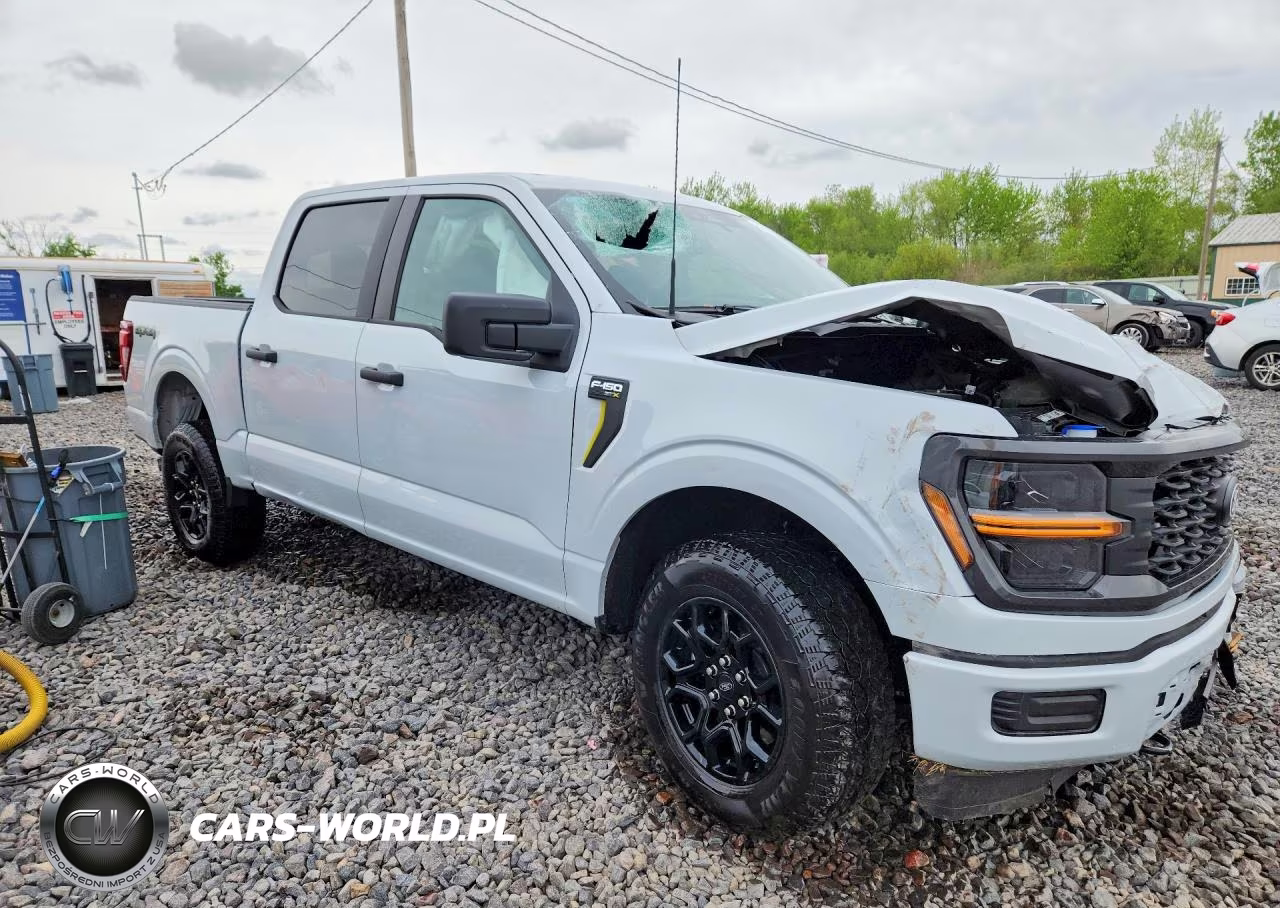 2025 Ford F150 Stx VIN:1FTEW2LP2SKF72784 - 4