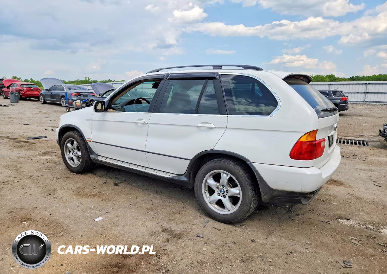 2002 BMW X5 4.4I VIN:5UXFB33502LH39613 - 2
