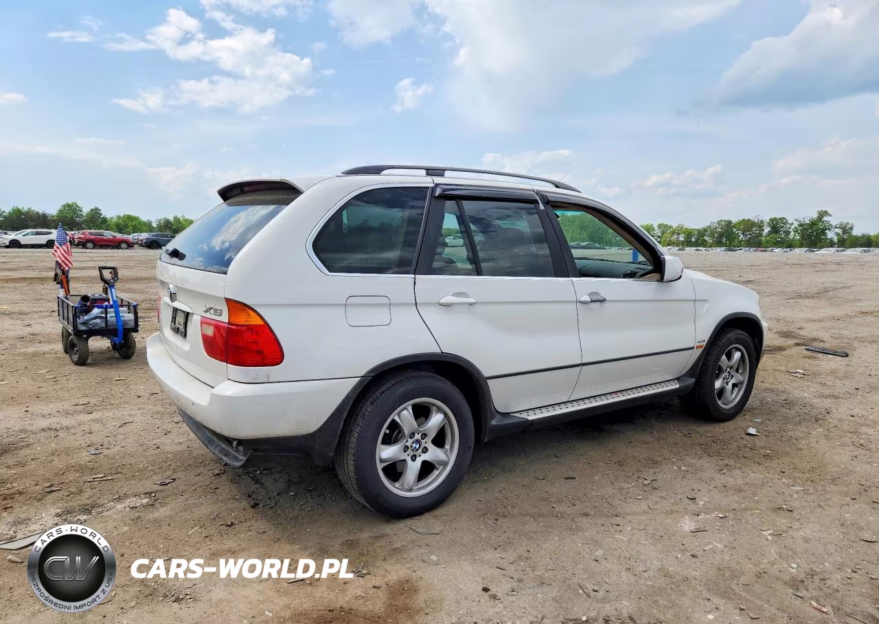 2002 BMW X5 4.4I VIN:5UXFB33502LH39613 - 3