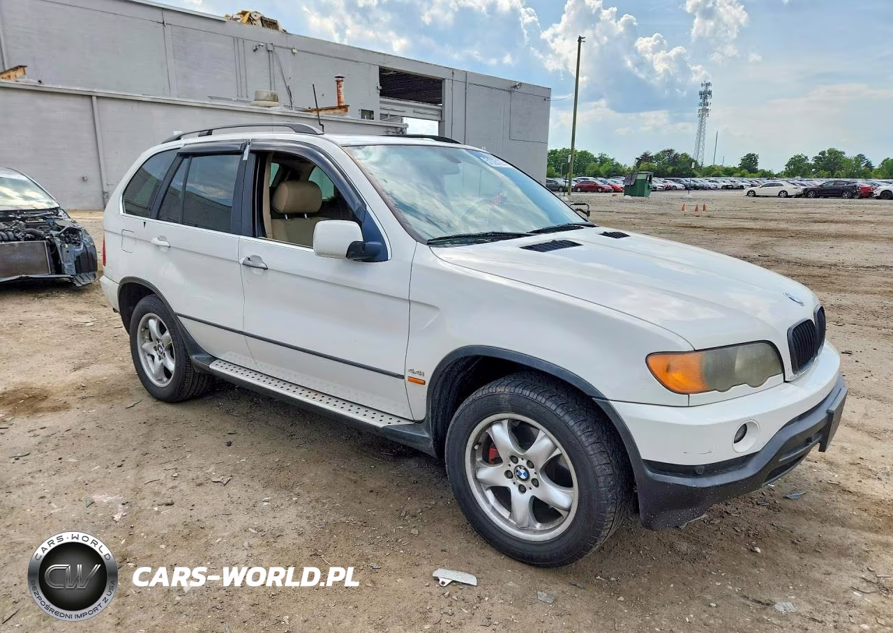 2002 BMW X5 4.4I VIN:5UXFB33502LH39613 - 4