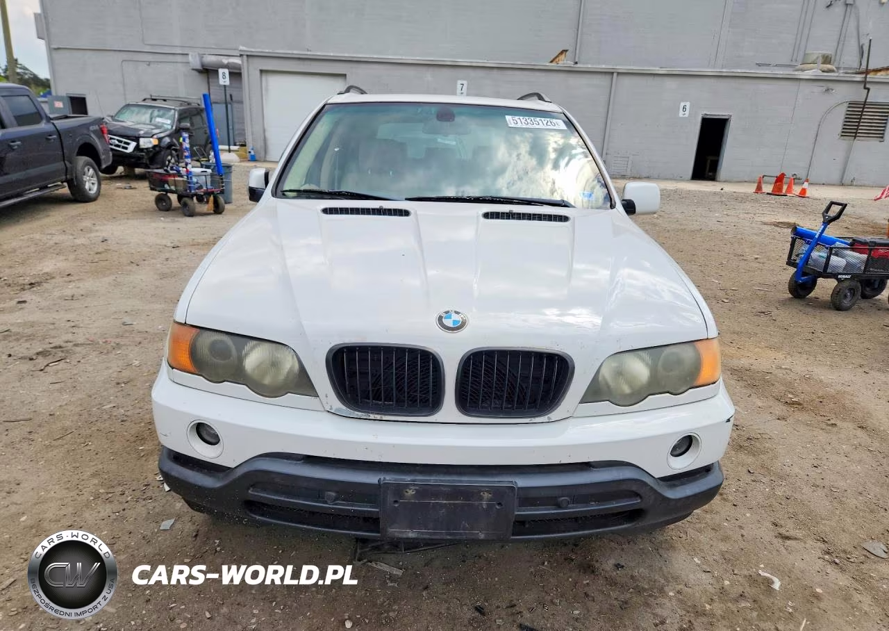 2002 BMW X5 4.4I VIN:5UXFB33502LH39613 - 5