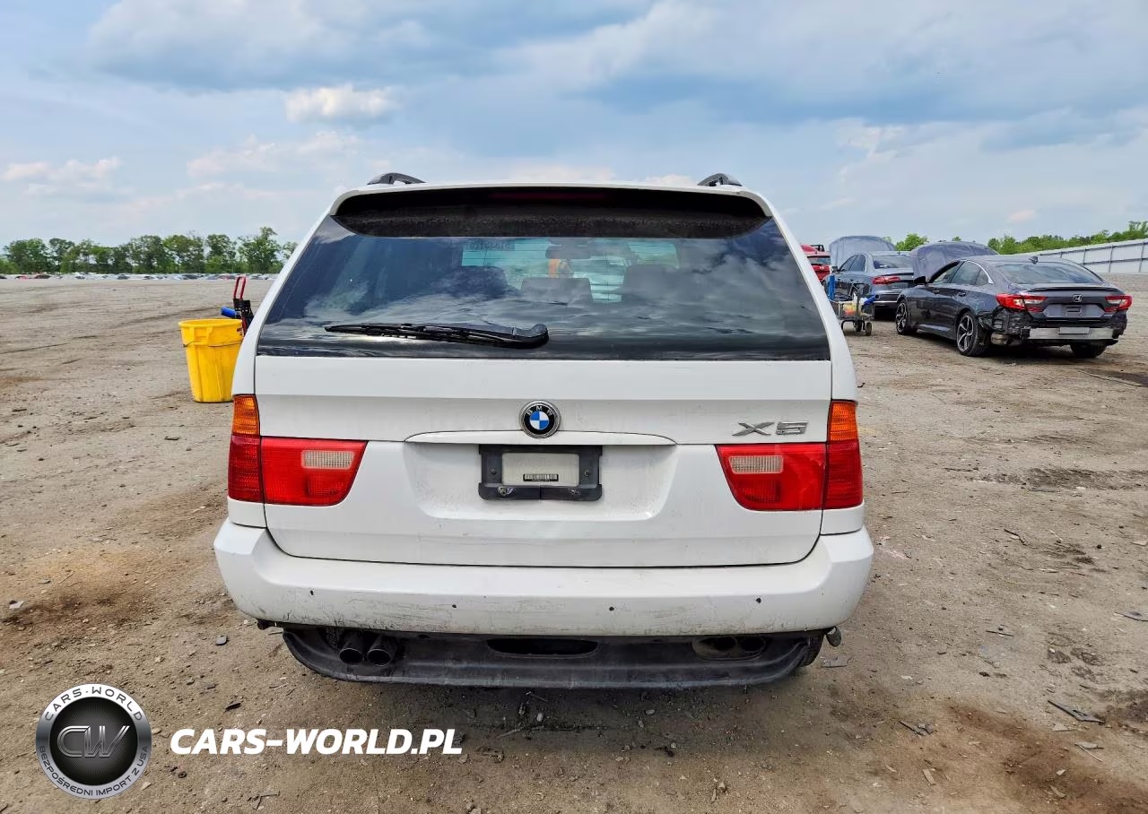 2002 BMW X5 4.4I VIN:5UXFB33502LH39613 - 6
