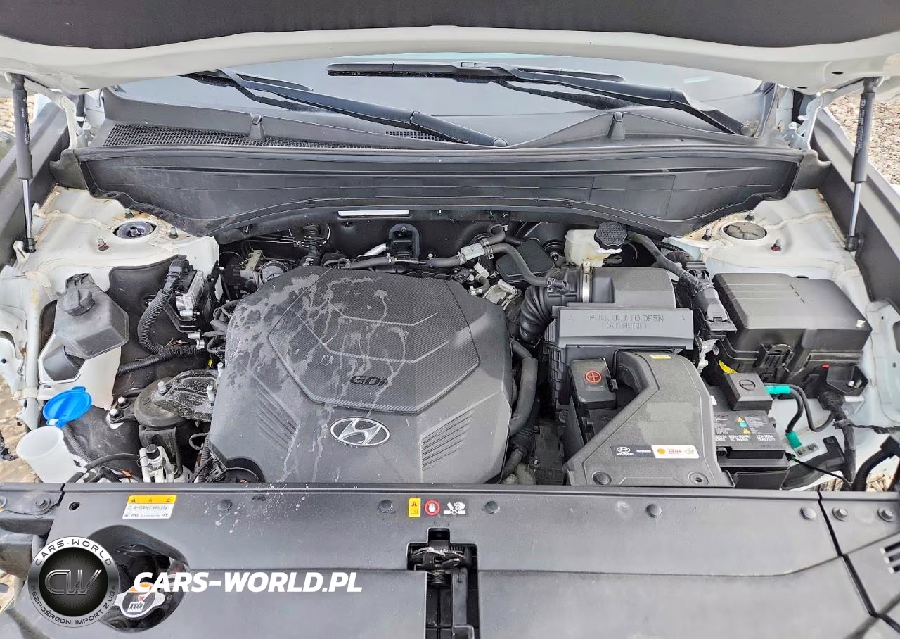 2023 Hyundai Palisade Xrt VIN:KM8R3DGE8PU557468 - 12