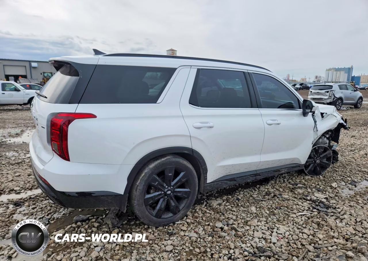 2023 Hyundai Palisade Xrt VIN:KM8R3DGE8PU557468 - 3
