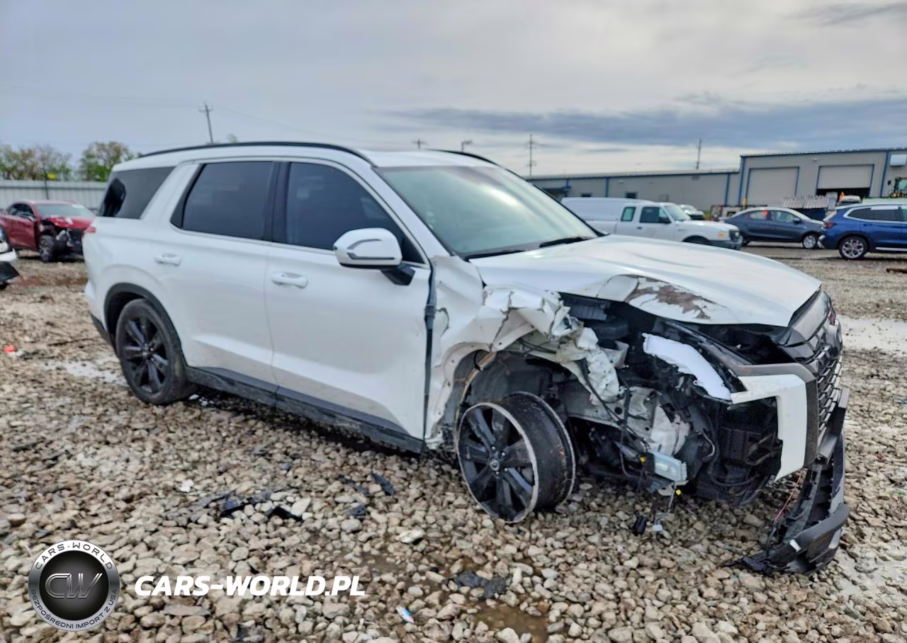 2023 Hyundai Palisade Xrt VIN:KM8R3DGE8PU557468 - 4