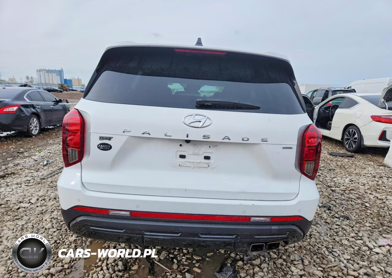 2023 Hyundai Palisade Xrt VIN:KM8R3DGE8PU557468 - 6