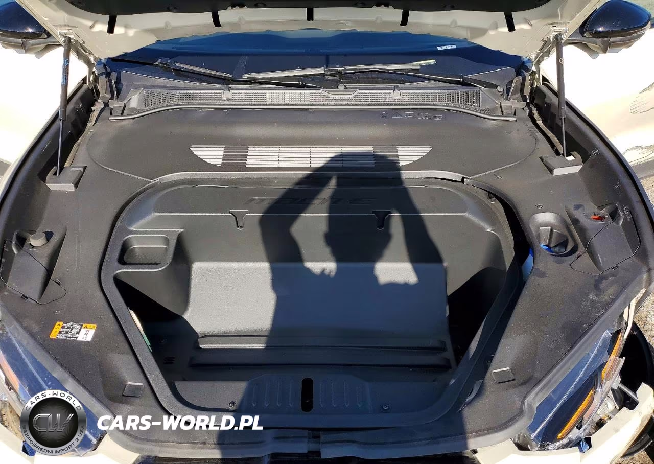 2025 Ford Mustang Mach-E Premium VIN:3FMTK3R79SMA29498 - 11