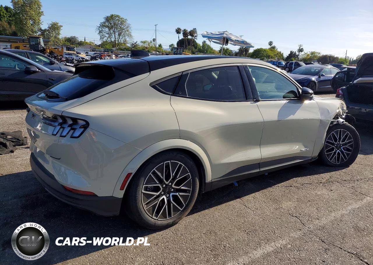2025 Ford Mustang Mach-E Premium VIN:3FMTK3R79SMA29498 - 3