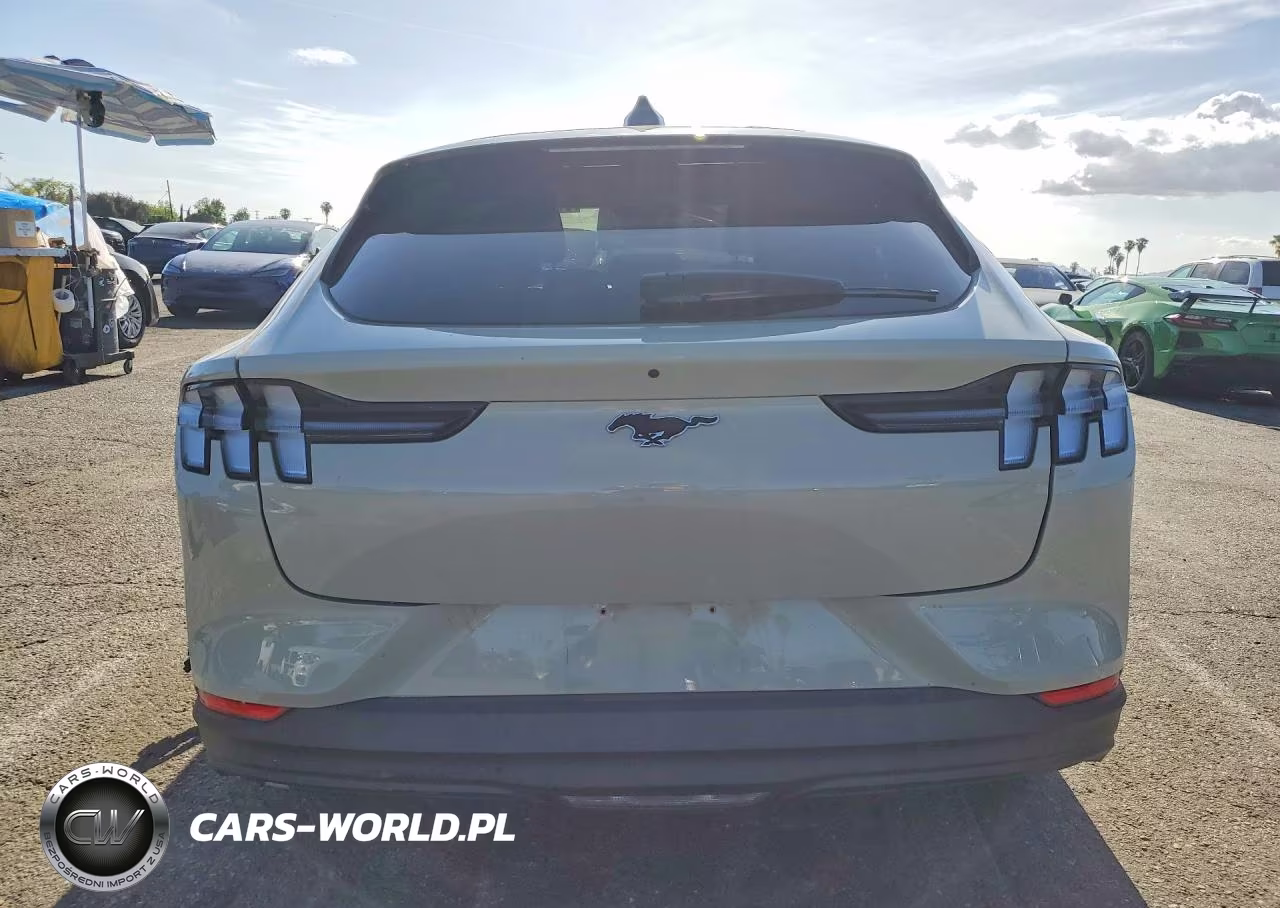 2025 Ford Mustang Mach-E Premium VIN:3FMTK3R79SMA29498 - 6