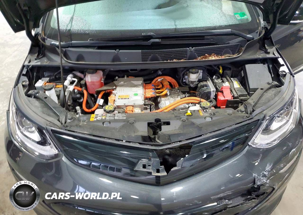 2018 Chevrolet Bolt Ev Premier VIN:1G1FX6S04J4117461 - 12