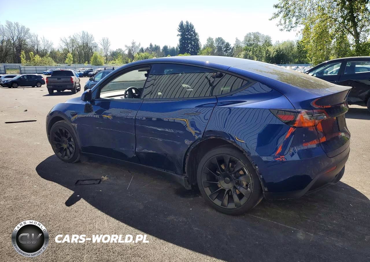 2023 Tesla Model Y VIN:7SAYGDEE8PA123454 - 2