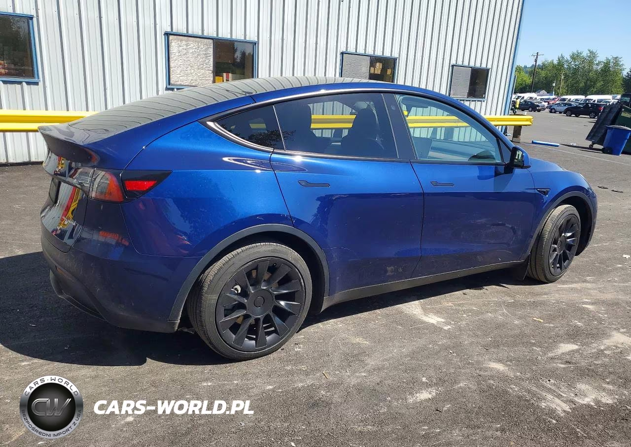 2023 Tesla Model Y VIN:7SAYGDEE8PA123454 - 3