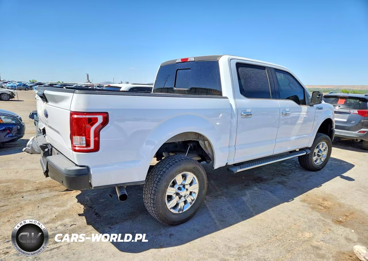 2016 Ford F150 Supercrew VIN:1FTEW1EP0GKE95010 - 3