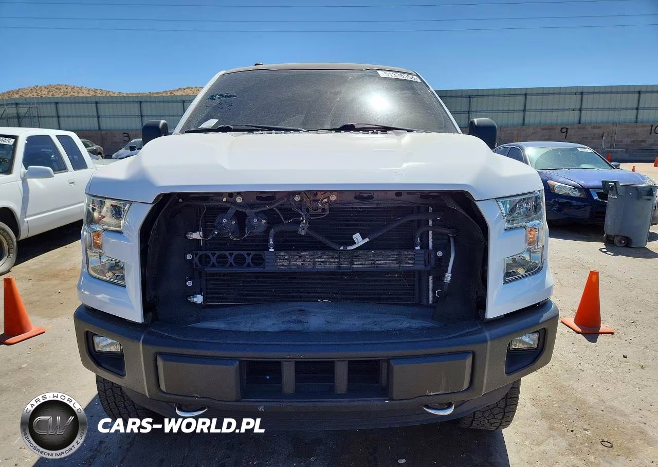 2016 Ford F150 Supercrew VIN:1FTEW1EP0GKE95010 - 5